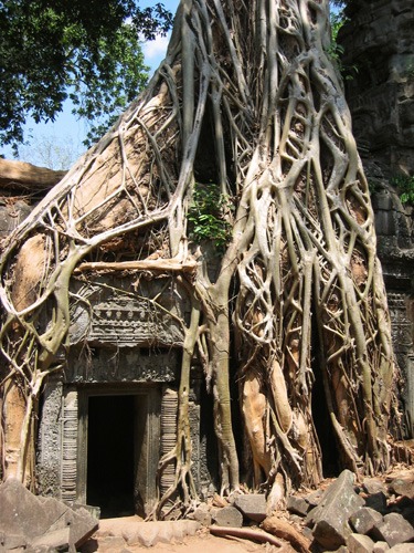 gallery/cambodia_2